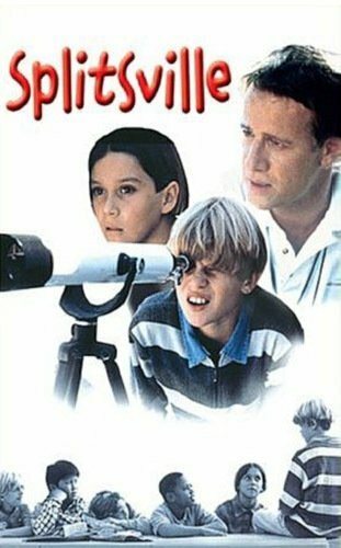 Развод и семеро детей (1998) постер