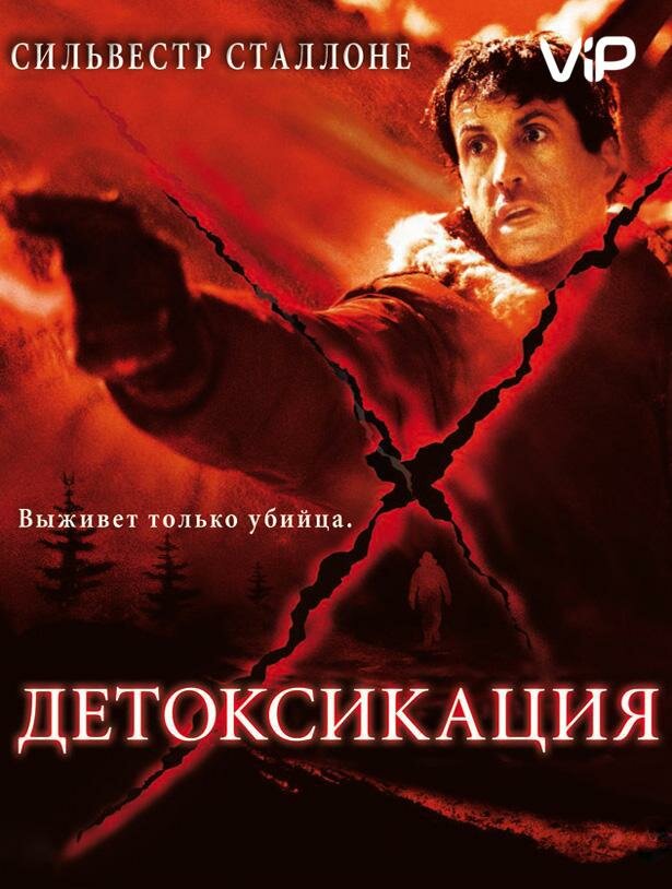 Детоксикация (2001) постер