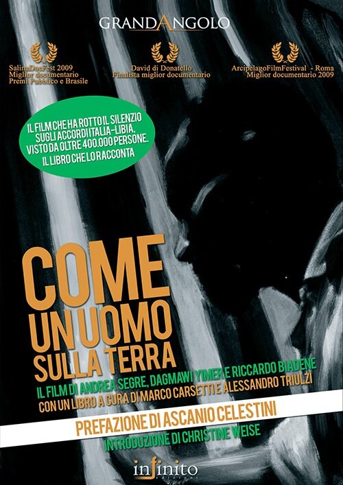 Come un uomo sulla terra (2008) постер